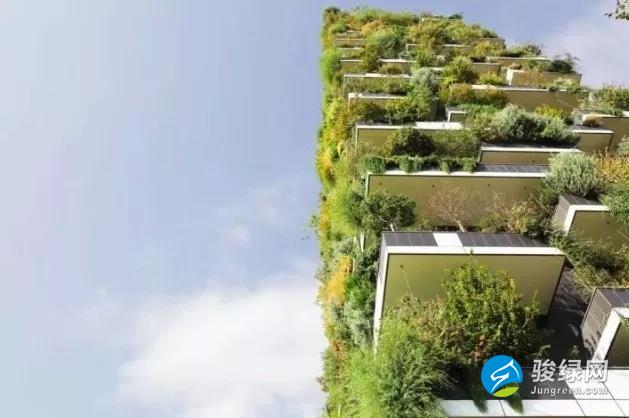 绿色建筑不只是“屋里长草” 更应该“心中有树”