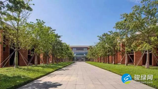 惠州绿色建筑面积超2000万平，10项目共获奖励300万