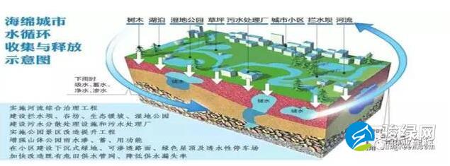 海绵城市,让城市不再看海