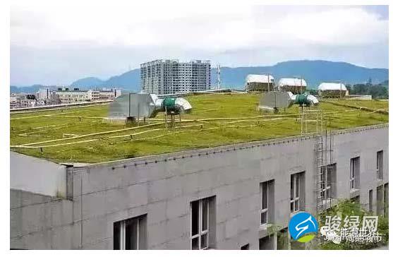 光明群众体育馆屋顶全部采用植被覆盖，生物降低室内温度