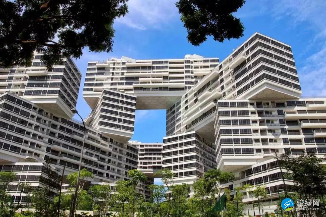 The Interlace（交织大楼）